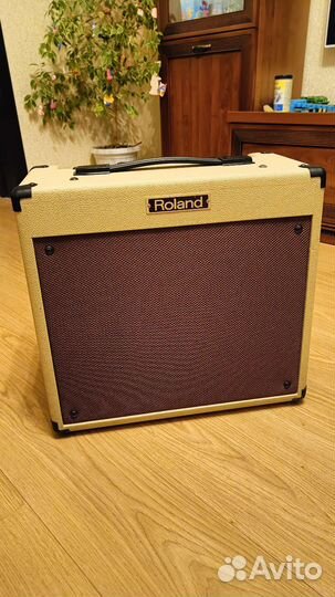 Roland Blues cub USA