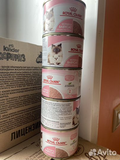 Корм для котят и беременных кошек Royal Canin
