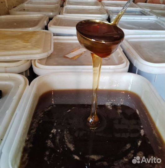 Гречишный мед (пасека глубоко в поле стояла)