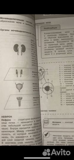 Учебники для подготовки к огэ и егэ по хим и био