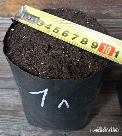 Пакеты для саженцев 1, 2 и 3 литра