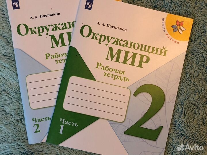 Окружающий мир 2 класс рабочая тетрадь Плешаков Чт