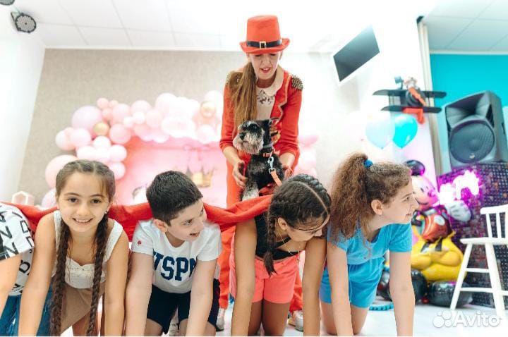 Аниматор с дрессированными собачками. Дог шоу