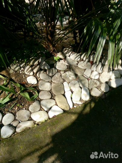 Камень-Галыш Черноморский