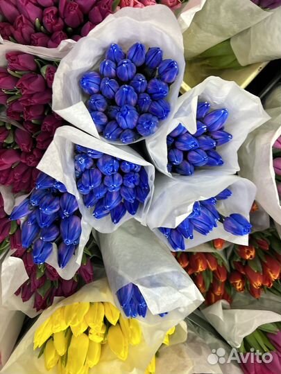 Тюльпаны пионовидные