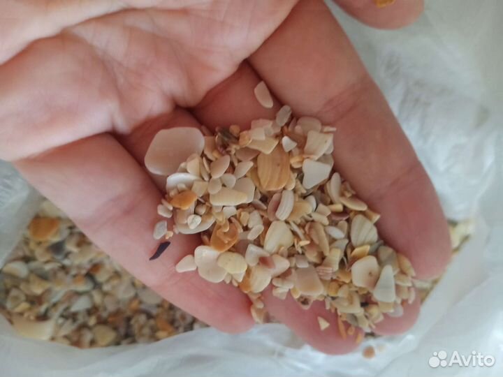 Ракушечный песок, морской, битая ракушка