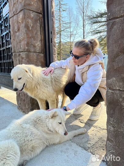 Джип туры в Адлере, Сочи утро, день еедневно