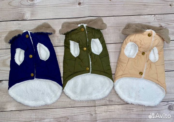 Одежда для маленьких собак и кошек, суриката