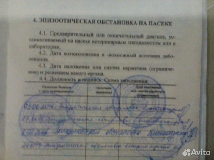 Доставка мёда. Продаю мёд с личной пасеки