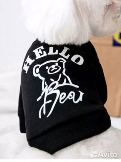 Кофта и шлейка для щенков маленьких пород