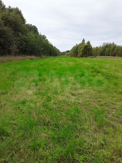 Участок 7,8 га (СНТ, ДНП)