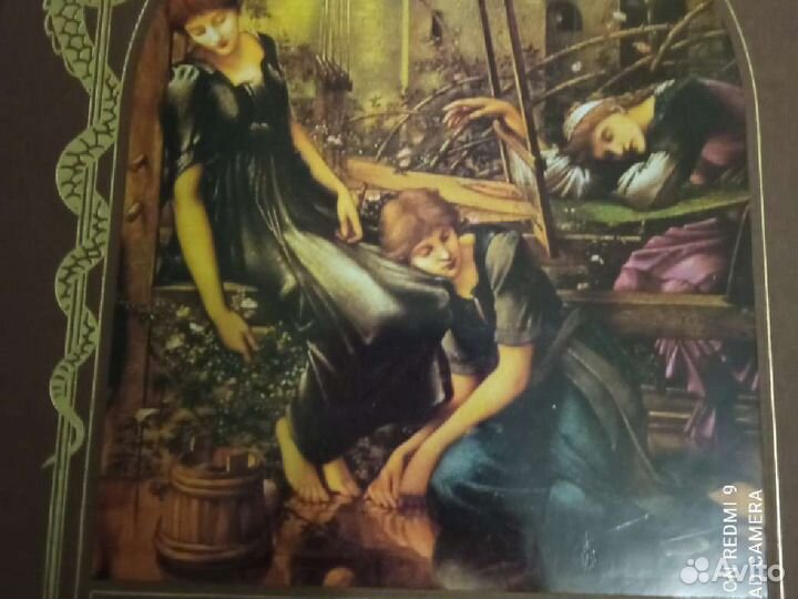 Чары и путы. Роскошная коллекция Зачарованный мир