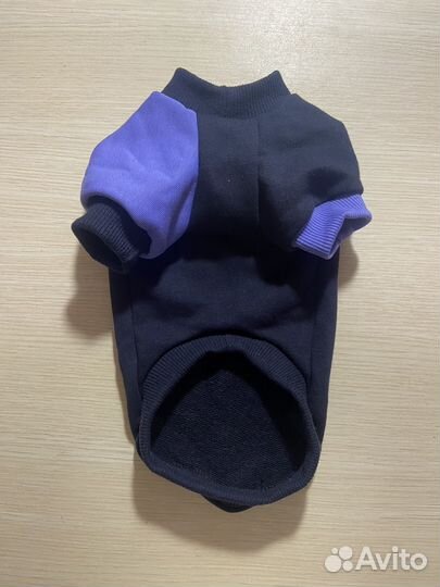 Одежда для собак