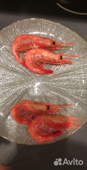 Креветка Северная