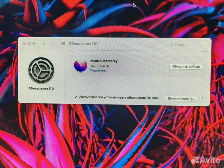 Apple Mac mini (конец 2014 г.) / big sur / ssd