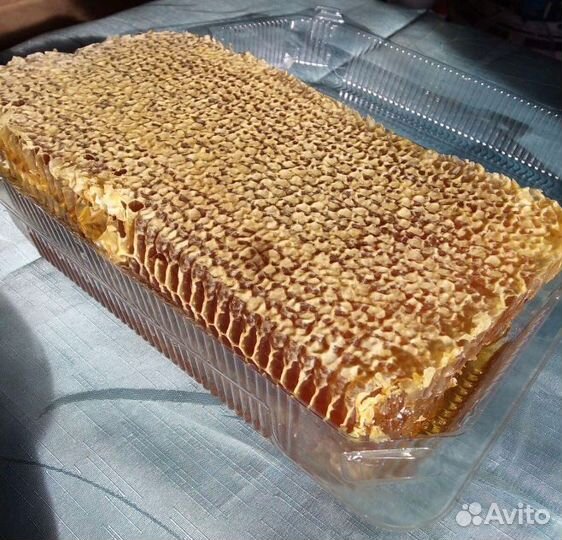 Мёд со своей пасеки, мёд в сотах