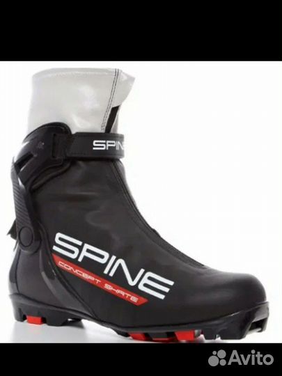 Лыжные ботинки spine