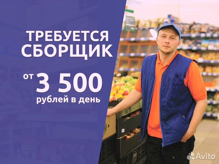 Сборщик без опыта работы в Ленту