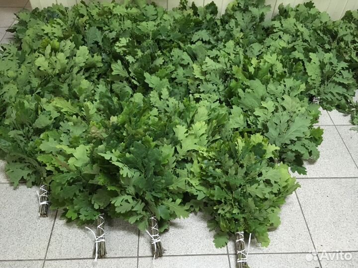 Веники из пихты, эвкалипта, дуба, берёзы