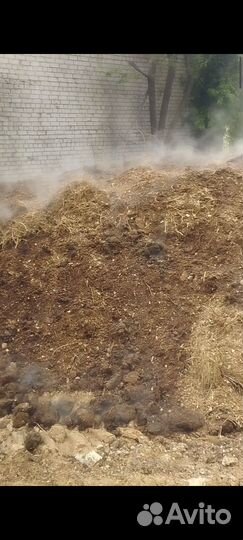 Перегной навоз