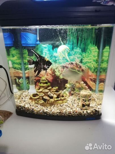 Аквариум