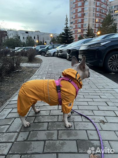 Дождевик для собак