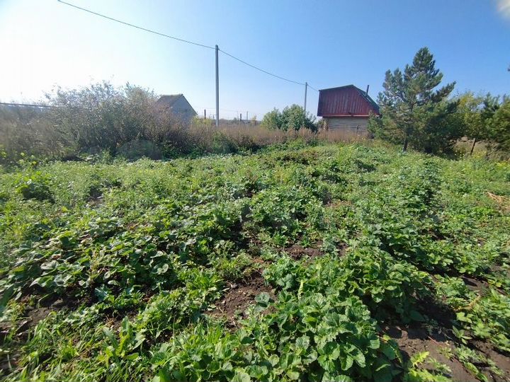 Участок 16 сот. (СНТ, ДНП)