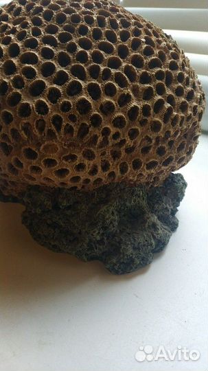 Грот для аквариума