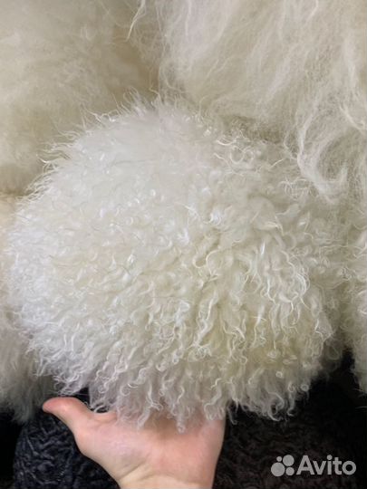 Папаха Кавказская Папаха Хабиба Дагестанская