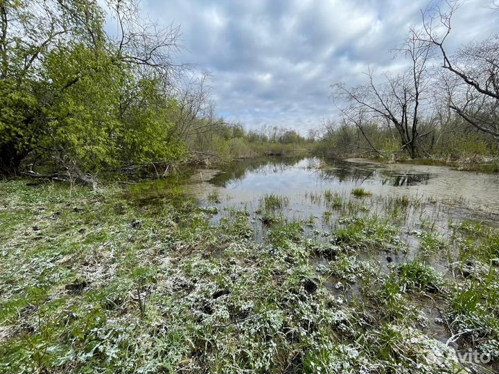 Готовый бизнес Животноводческая ферма