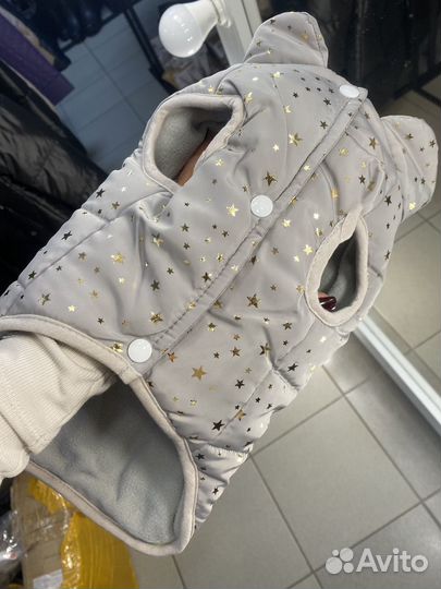 Одежда для собак