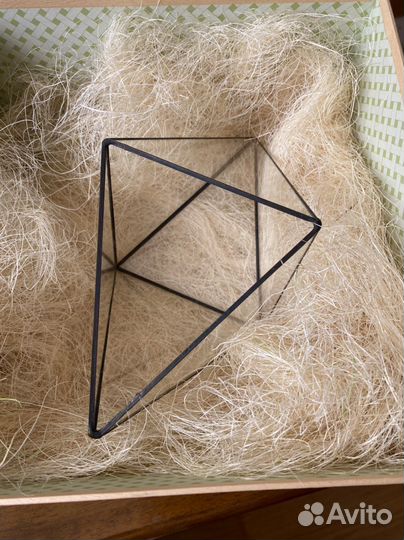 Флорариум в подарочной коробке