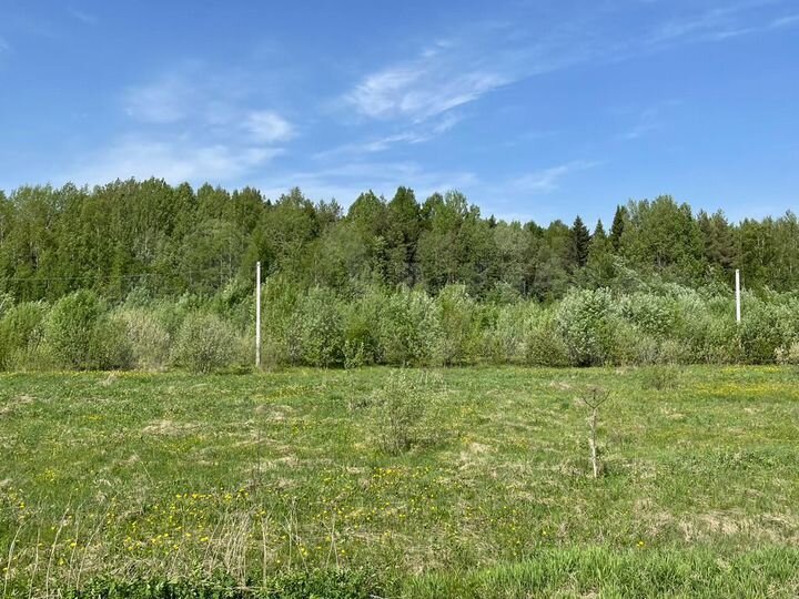 Участок 10 сот. (ИЖС)