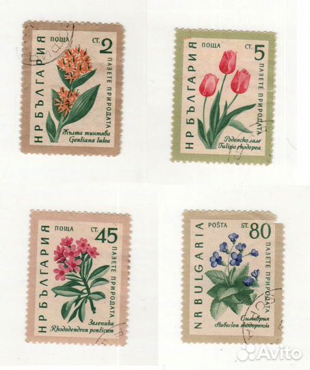 Марки Болгария Афганистан