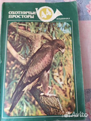 Охотничьи просторы