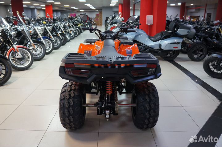 Loncin Xwolf 200, 2024