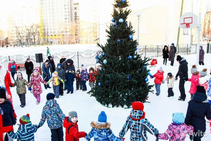 Дед Мороз и Снегурочка на Новый Год