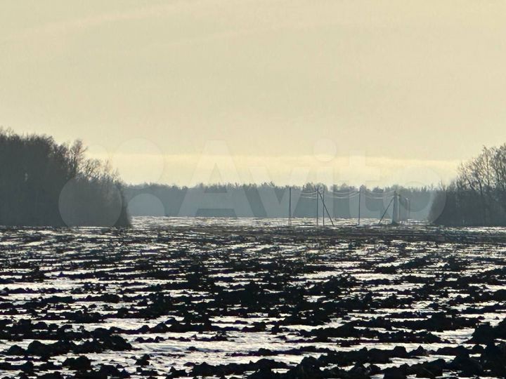 Участок 1 сот. (СНТ, ДНП)