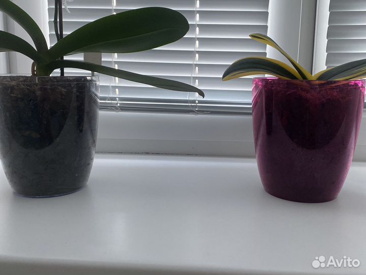Кашпо для орхидей