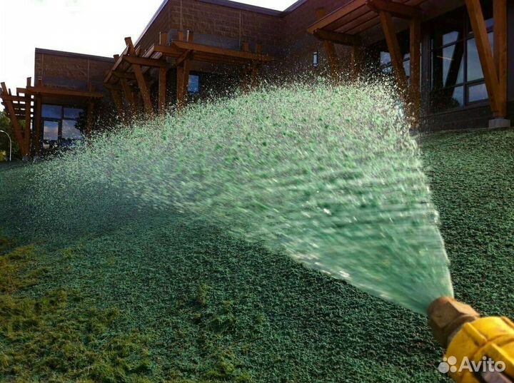 Гидропосев газона