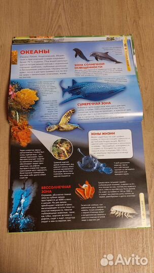 Детская энциклопедия