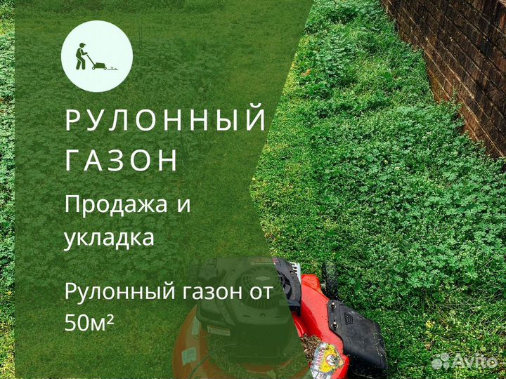 Укладка и продажа газона