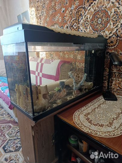 Аквариум с тумбой 200 л. б/у звоните договоримся