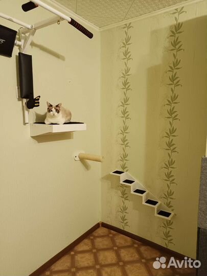 Товары для животных