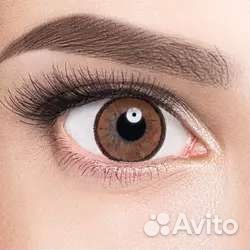 Карие линзы -4,5 adria Elegant Brown с раствором