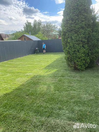 Укладка и продажа газона