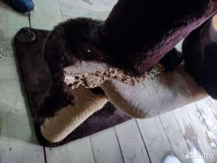 Когтеточка