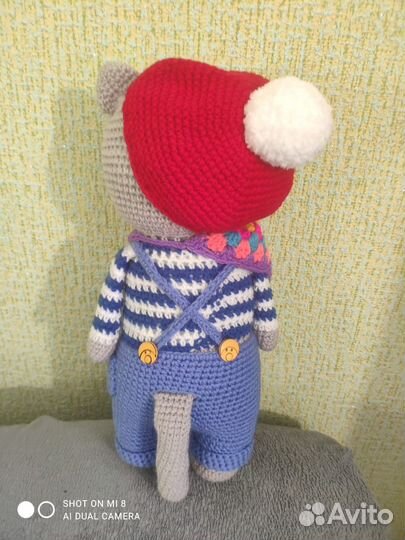 Котик Джереми