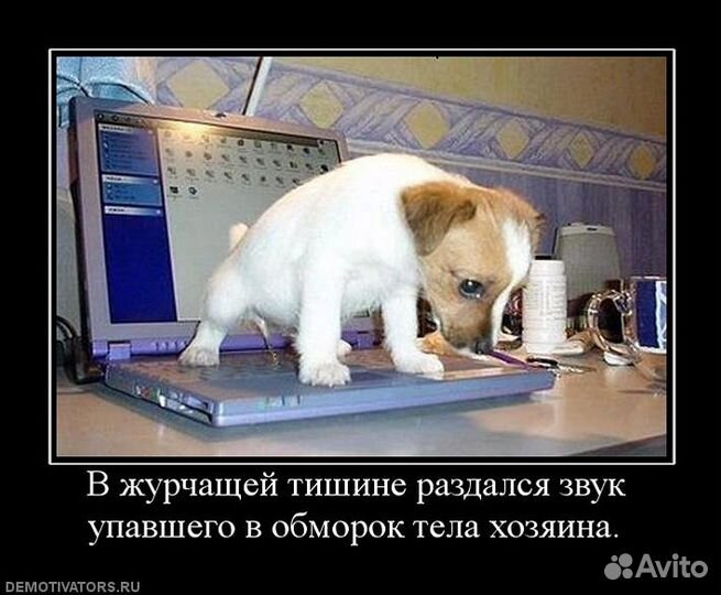 Клавиатура для ноутбука DNS Clevo Medion Dexp ипр