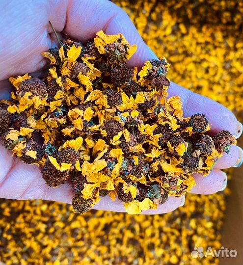 Тибетская ромашка чай